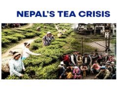 ” नेपाल और भारत के बीच बढ़ते विवाद के बीच, नेपाली सरकार ने अपनी चाय फैक्ट्रियां फिर से खोलने का फैसला जानिए क्या है पूरा मामला…”