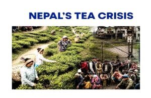 ” नेपाल और भारत के बीच बढ़ते विवाद के बीच, नेपाली सरकार ने अपनी चाय फैक्ट्रियां फिर से खोलने का फैसला जानिए क्या है पूरा मामला…”