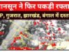 दक्षिण-पश्चिम मानसून: मौसम के बदलते मिजाज के बीच प्रदेश के कई इलाकों में बारिश का दौर जारी…