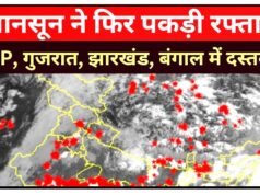 दक्षिण-पश्चिम मानसून: मौसम के बदलते मिजाज के बीच प्रदेश के कई इलाकों में बारिश का दौर जारी…