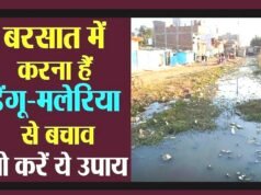cg” स्वास्थ्य विभाग द्वारा बरसात के मौसम में डेंगू एवं मलेरिया बीमारी से बचाव के लिए दी गई समसामयिक सलाह…”