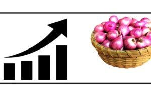 प्याज की खरीद मूल्य को 13 प्रतिशत बढ़ाकर 2,125 रुपये प्रति क्विंटल…