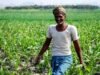 cg” खरीफ मौसम में धान की जगह उद्यानिकी फसल अपनाकर बढ़ाई आय, कम पानी में लाभकारी खेती की ओर बढ़े कदम…”