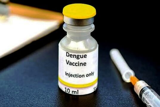भारत में डेंगू वैक्सीन को मिली मंजूरी जानें इसकी विशेषताएँ…