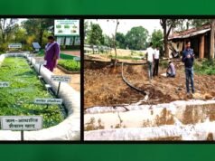 cg” हरी खाद से कम होगी लागत और बढ़ेगी पैदावार…”