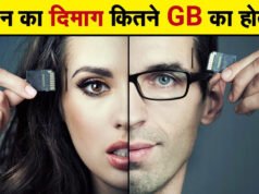 Human Brain: कितने जीबी का होता है इंसान का दिमाग….