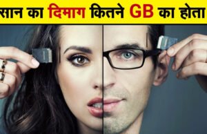 Human Brain: कितने जीबी का होता है इंसान का दिमाग….