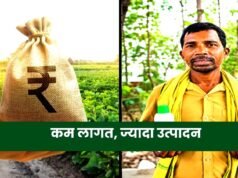 आधुनिक कृषि तकनीकों से किसानों को मिल रहा लाभ, कम लागत में बढ़ रहा उत्पादन….