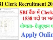 SBI में नौकरी का शानदार मौका! 1538 जूनियर क्लर्क पदों पर भर्ती, सैलरी ₹64 हजार से ज्यादा, जाने कैसे करे आवेदन…
