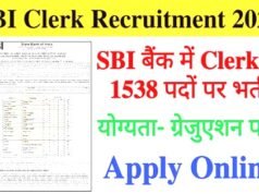 SBI में नौकरी का शानदार मौका! 1538 जूनियर क्लर्क पदों पर भर्ती, सैलरी ₹64 हजार से ज्यादा, जाने कैसे करे आवेदन…