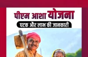पीएम-आशा योजना: किसानों को मिल रहा बेहतर मूल्य, खरीद व्यवस्था और डिजिटल सुधारों से बढ़ी पारदर्शिता…