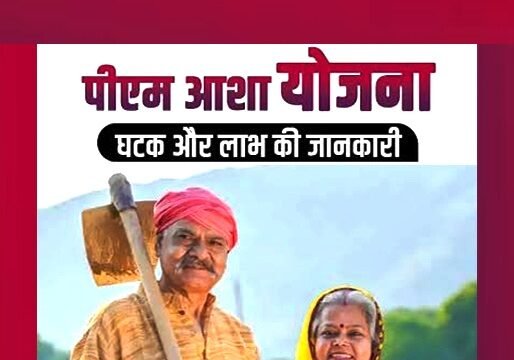 पीएम-आशा योजना: किसानों को मिल रहा बेहतर मूल्य, खरीद व्यवस्था और डिजिटल सुधारों से बढ़ी पारदर्शिता…