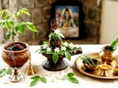 हरियाली अमावस्या 2026: पूजा और महत्व…