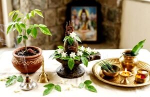 हरियाली अमावस्या 2026: पूजा और महत्व…