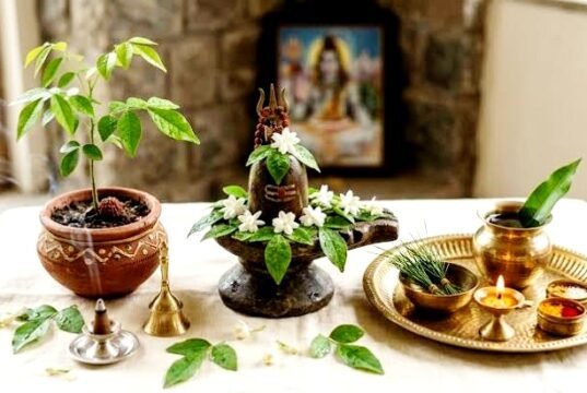हरियाली अमावस्या 2026: पूजा और महत्व…