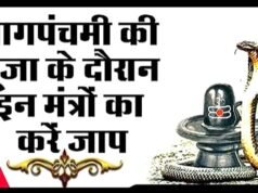 Nag Panchami Mantra: नाग पंचमी पर करें इन मंत्रों का जाप…