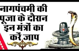 Nag Panchami Mantra: नाग पंचमी पर करें इन मंत्रों का जाप…