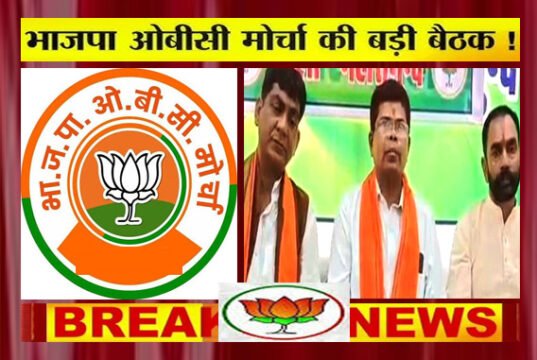भाजपा ओबीसी मोर्चा की महत्वपूर्ण बैठक…