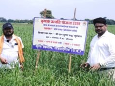 सेवा की कहानी – धान की जगह वैकल्पिक फसलों की खेती अपनाकर बढ़ाया लाभ का रास्ता…