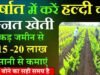 हल्दी की खेती से बढ़ रही फसल विविधता, किसानों की आय में हो रही वृद्धि…