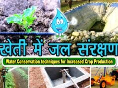 जल संरक्षण और सिंचाई विस्तार की उपलब्धि, जीपीएम में सिंचाई क्षमता छह गुना से अधिक बढ़ी…