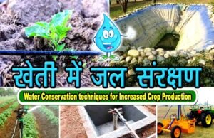 जल संरक्षण और सिंचाई विस्तार की उपलब्धि, जीपीएम में सिंचाई क्षमता छह गुना से अधिक बढ़ी…