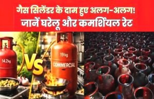 एलपीजी के दाम पर बड़ा अपडेट, जानें कितना महंगा हुआ घरेलू और कमर्शियल सिलेंडर, चेक करें अपने शहर का रेट…
