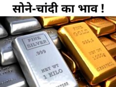 सोने और चांदी की कीमतों में इस साल लगातार उतार-चढ़ाव…