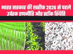 छत्तीसगढ़ में लक्ष्य का 98 प्रतिशत बोनी पूर्ण…