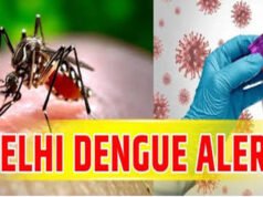 दिल्ली में डेंगू के मामलों में वृद्धि: दिल्ली में डेंगू के मामलों की स्थिति
