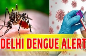 दिल्ली में डेंगू के मामलों में वृद्धि: दिल्ली में डेंगू के मामलों की स्थिति