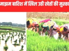 “झमाझम बारिश से किसानों के चेहरे खिले, धान-मक्का की फसल को फायदा”