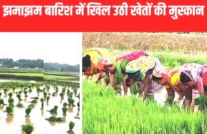 “झमाझम बारिश से किसानों के चेहरे खिले, धान-मक्का की फसल को फायदा”
