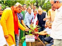 लखोली मुक्तिधाम में गौशाला पिंजरा पोल और चेम्बर ऑफ कॉमर्स ने चलाया वृहद वृक्षारोपण अभियान, रोपे 100 से अधिक पौधे
