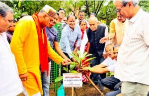 लखोली मुक्तिधाम में गौशाला पिंजरा पोल और चेम्बर ऑफ कॉमर्स ने चलाया वृहद वृक्षारोपण अभियान, रोपे 100 से अधिक पौधे