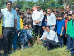 नवोदय विद्यालय परिसर में लगाए 220 नारियल के पौधे, पूर्व छात्रों ने निभाई भागीदारी